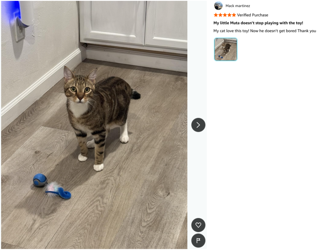 亚马逊热销单品—沉浸式猫咪自嗨球,激发猫咪狩猎天性。德国站上架三个月,销量2500+ 8 亚马逊热销单品—沉浸式猫咪自嗨球,激发猫咪狩猎天性。德国站上架三个月,销量2500+