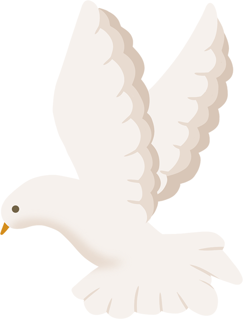 背靠傲基,Fanttik靠卖电动工具在海外创造亿万财富。 3 背靠傲基,Fanttik靠卖电动工具在海外创造亿万财富。