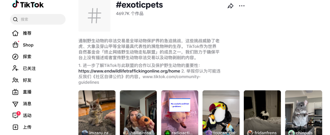 CPM低3倍?异宠出海的流量密码,萌宠品牌学不来! 5 CPM低3倍?异宠出海的流量密码,萌宠品牌学不来!