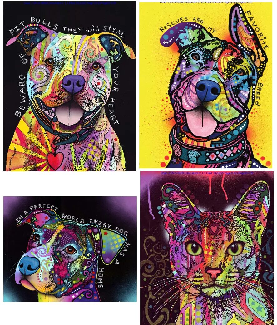 你的店铺安全吗?!盘点近期7大侵权案,这些“隐形炸弹”必须排除! 14 你的店铺安全吗?!盘点近期7大侵权案,这些“隐形炸弹”必须排除!