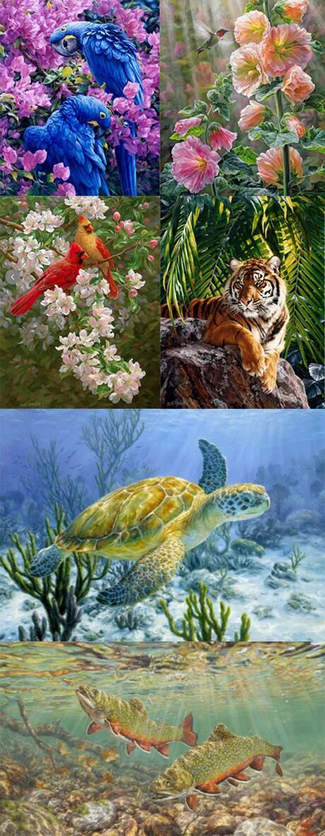 2025-cv-14670,已有33个被告!加拿大艺术家6个野生动物版权TRO! 3 2025-cv-14670,已有33个被告!加拿大艺术家6个野生动物版权TRO!