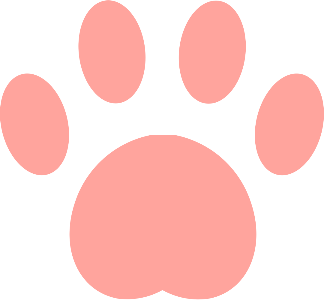 CPM低3倍?异宠出海的流量密码,萌宠品牌学不来! 3 CPM低3倍?异宠出海的流量密码,萌宠品牌学不来!