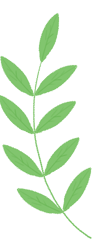 为什么 90% 的跨境品牌都在联盟营销上“慢性自杀”？