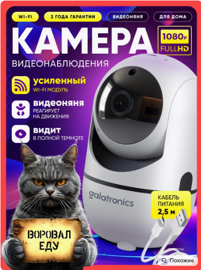 12-1月Wildberries热销品类推荐——新年节庆销售黄金期即将全面开启！