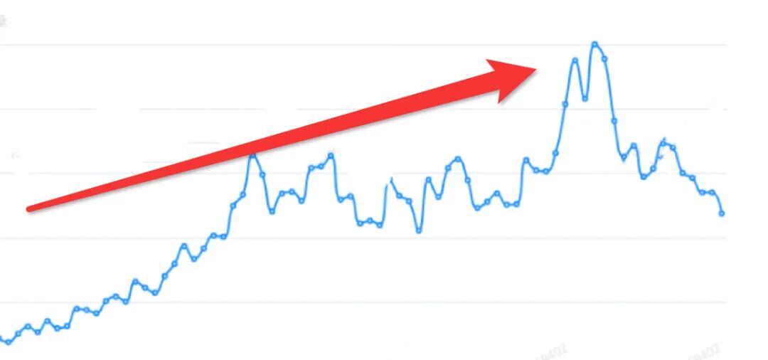 “黑五”日销超500单，节日季刚需，这一类目在SHEIN平台年末爆单机遇已至