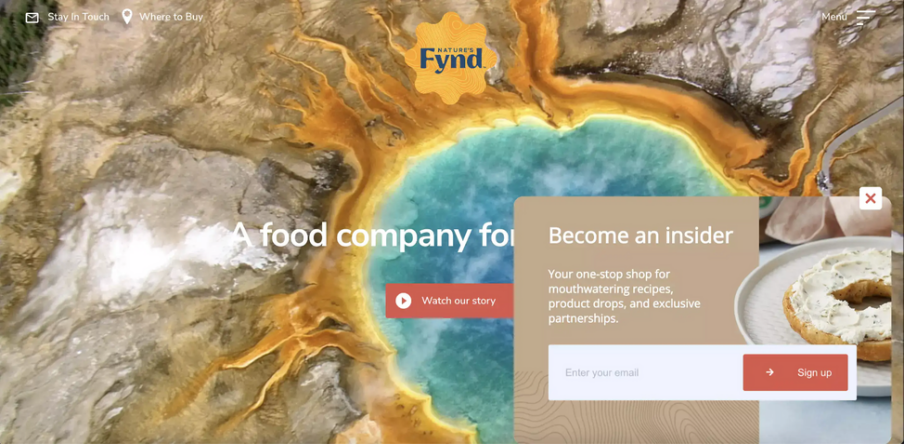 高回购品牌都在用：Email Popup 增长指南