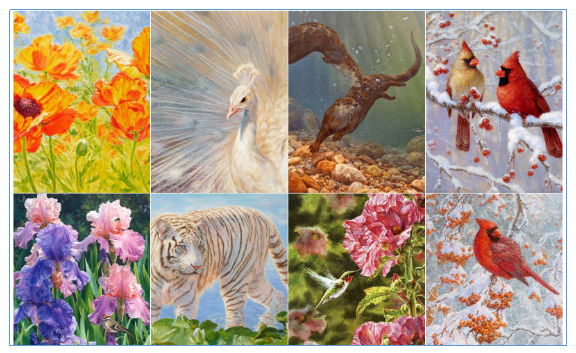 30+维权记录，累计冻结5000+店铺，这些图片千万别用！