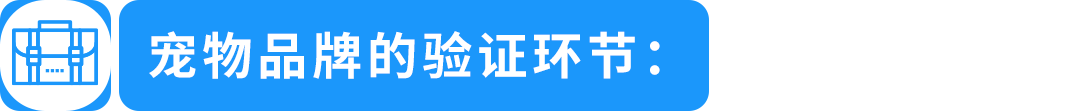 【专家分享】从海外用户洞察到产品创新，打造亚马逊品牌差异化