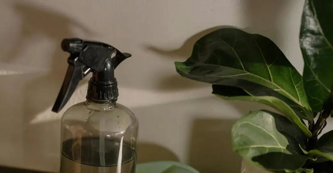 深度 | JoomPro如何携手中国家居供应链重塑拉美市场新格局