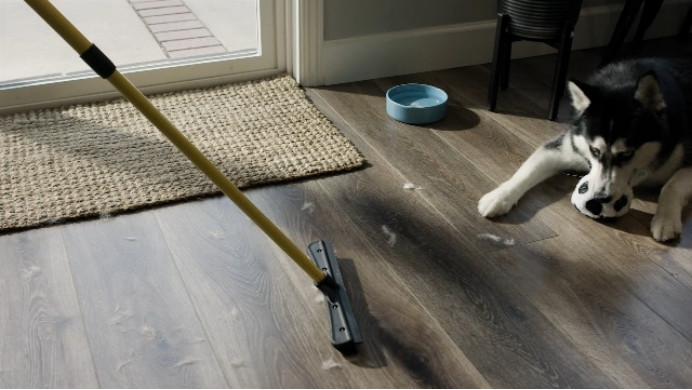 爆卖近千万,毛利74%!小众除毛扫帚横扫宠物清洁赛道 | 行业热点 6 爆卖近千万,毛利74%!小众除毛扫帚横扫宠物清洁赛道 | 行业热点