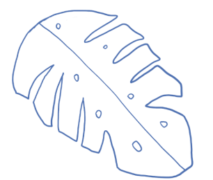 Instagram个性签名怎么写：18个创意和撰写技巧