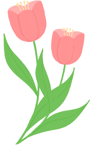 为什么 90% 的跨境品牌都在联盟营销上“慢性自杀”？