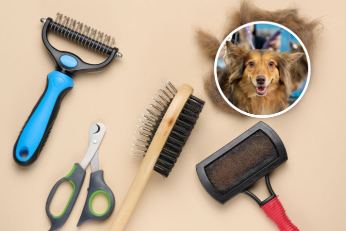 爆卖近千万,毛利74%!小众除毛扫帚横扫宠物清洁赛道 | 行业热点