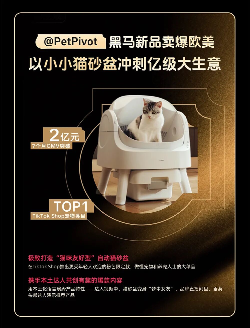 迈向出海新主场!TikTok Shop跨境POP2025年度好案例重磅发布 7 迈向出海新主场!TikTok Shop跨境POP2025年度好案例重磅发布