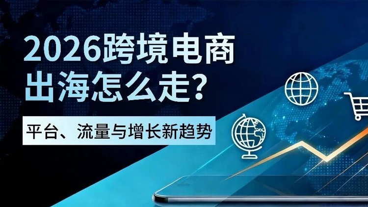 2026独立站买量：别再瞎投广告！只有会经营的人才能赚
