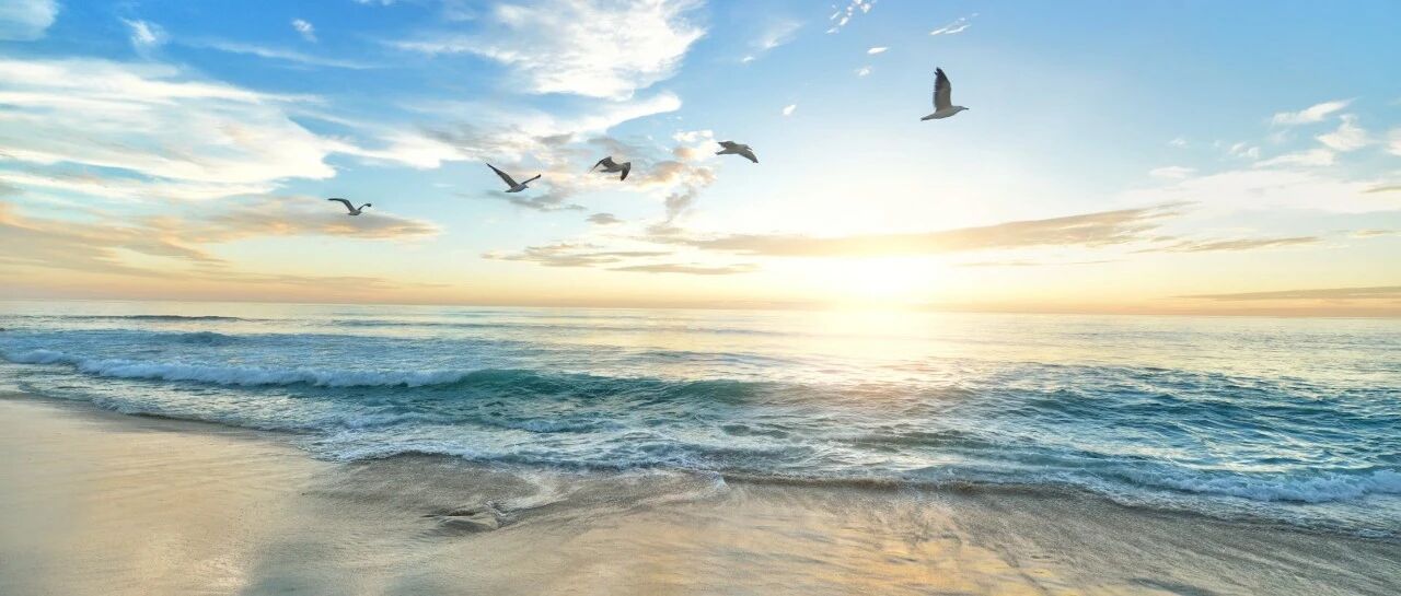 Facebook广告投手的职业成长路径：2026年，我们该如何避免被AI替代的焦虑？