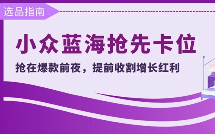Wayfair「蓝海挖宝」卧室家具高潜小众品类机会系列（三）
