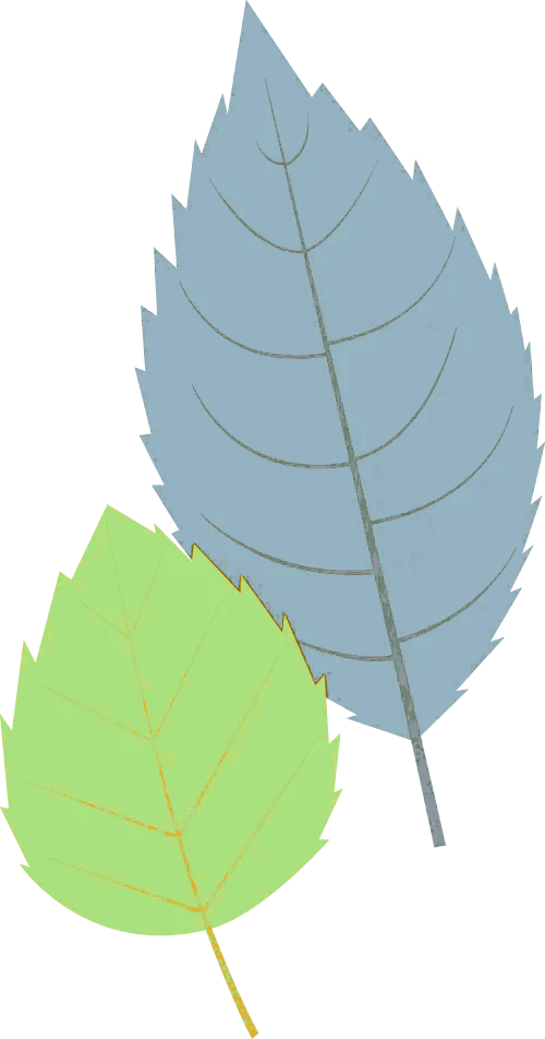 干货收藏!15款电商网站分析工具,帮你抠出每一个流量价值 6 干货收藏!15款电商网站分析工具,帮你抠出每一个流量价值