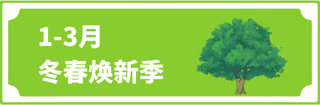 立即收藏！2026酷澎全年营销节奏参考，提前锁定增长时刻！