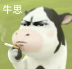 流量垄断时代来了！亚马逊前台惊现TOP Brand标签！