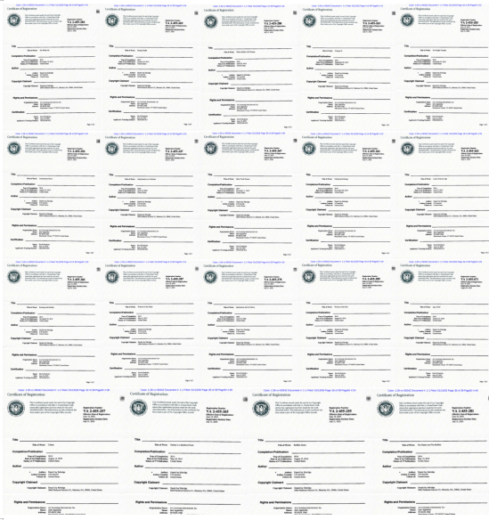 谨防资金冻结!这些商标专利版权已致 500 + 店铺遭到起诉 17 谨防资金冻结!这些商标专利版权已致 500 + 店铺遭到起诉