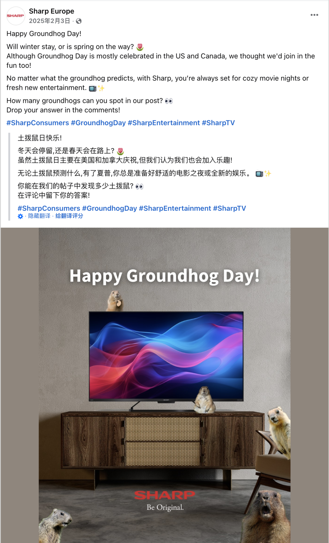 2月海外营销日历：情人节，斋月，土拨鼠日，世界社会公正日，全国披萨日...