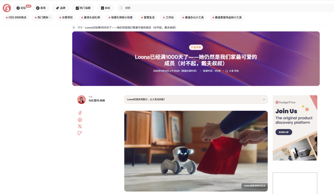 “赛博养宠”爆卖9万件，老外开始品电子人生