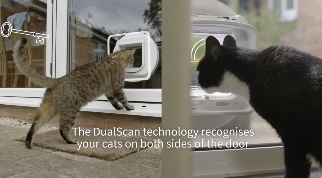 拿下$29万众筹，$200的AI猫门会是下一个智能宠物爆款吗