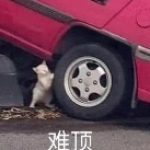 资金压力加剧！亚马逊DD+7新政3月全面生效！