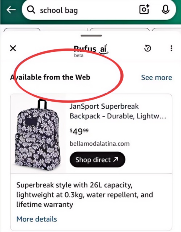 活久见！亚马逊竟然主动给独立站导流，Rufus的新功能到底在下一盘什么棋？