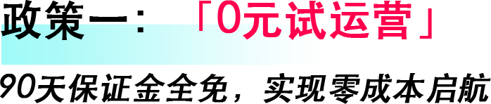 2026抢占东南亚蓝海！TikTok Shop四大扶持政策重磅登场，助您新年开新局