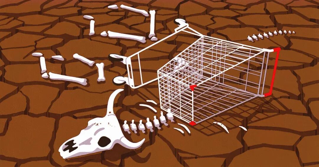 提升复购率神器：16款顶级弃单邮件范例