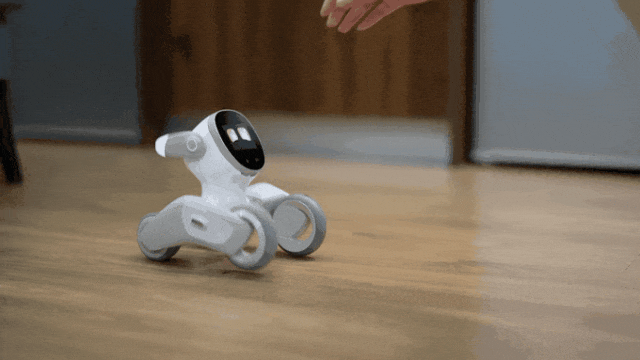 “赛博养宠”爆卖9万件，老外开始品电子人生