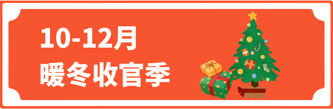 立即收藏！2026酷澎全年营销节奏参考，提前锁定增长时刻！