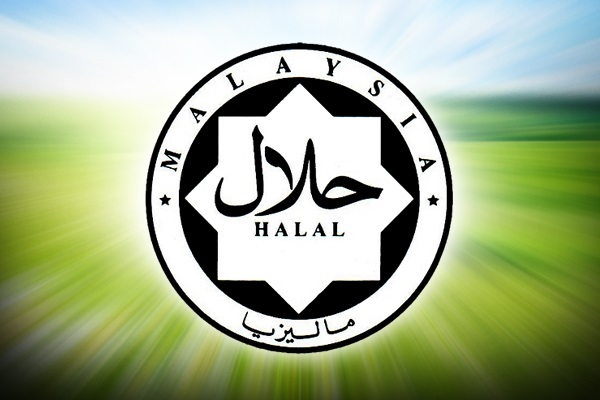 清真：连接区域优势、全球商业机遇和新兴挑战