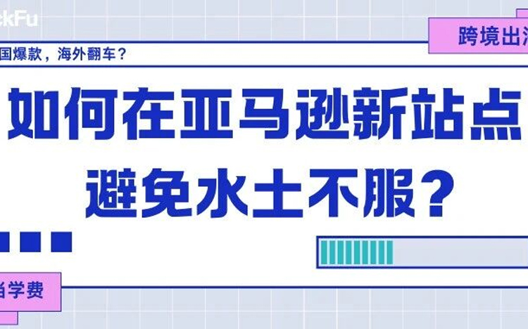如何在亚马逊新站点避免“水土不服”？跨境出海必读