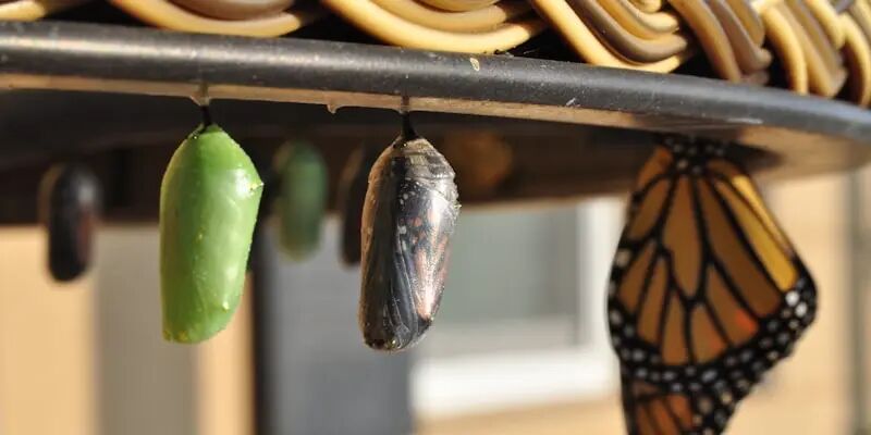 亚马逊裁掉30000人，背后是什么逻辑？