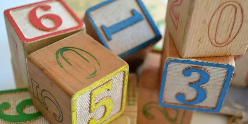 一天一家跨境电商公司：公狼网络