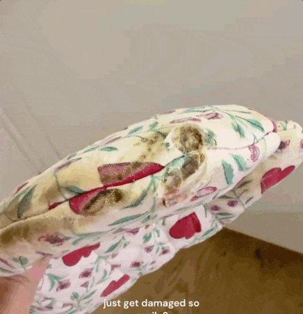 马桶刷凭什么卖?聪明的DTC品牌都在玩“人格化” 9 马桶刷凭什么卖$48?聪明的DTC品牌都在玩“人格化”