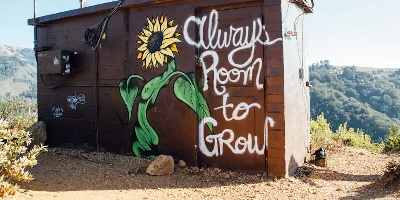 一天一家跨境电商公司：公狼网络