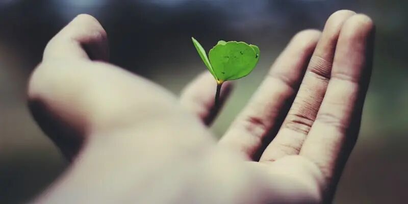 亚马逊卖家大洗牌:7760人分走1500亿美金,剩下40万人怎么办? 11 亚马逊卖家大洗牌:7760人分走1500亿美金,剩下40万人怎么办?