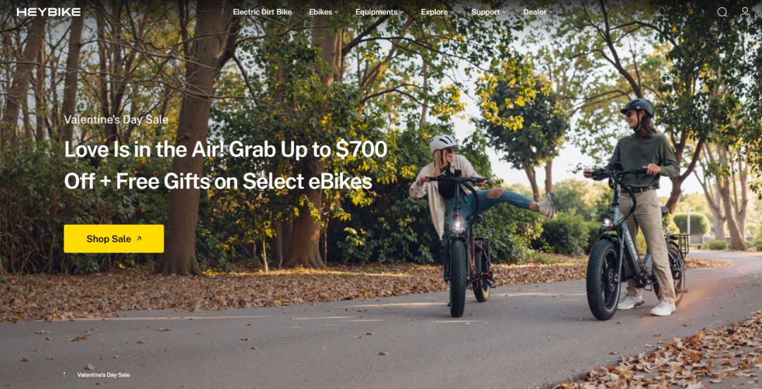 一天一家跨境电商公司：Heybike