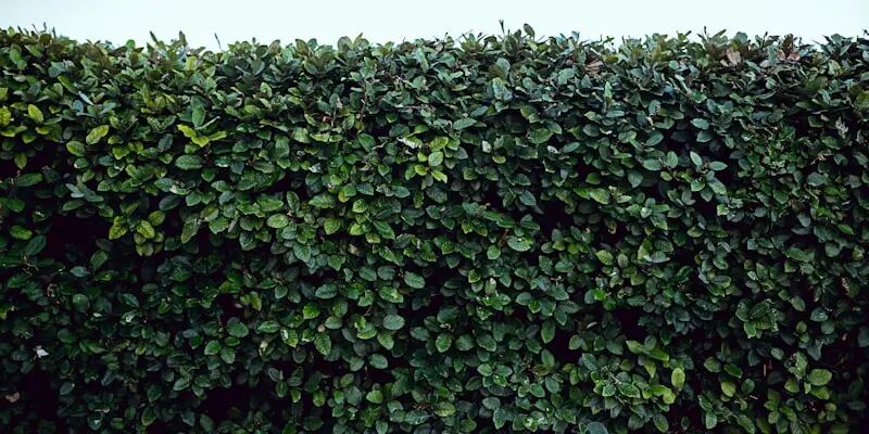 一天一家跨境电商公司：亚飞电商