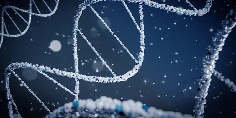 VAT递延全攻略:合法省下年30万现金流,90%的欧洲卖家都不知道 5 VAT递延全攻略:合法省下年30万现金流,90%的欧洲卖家都不知道