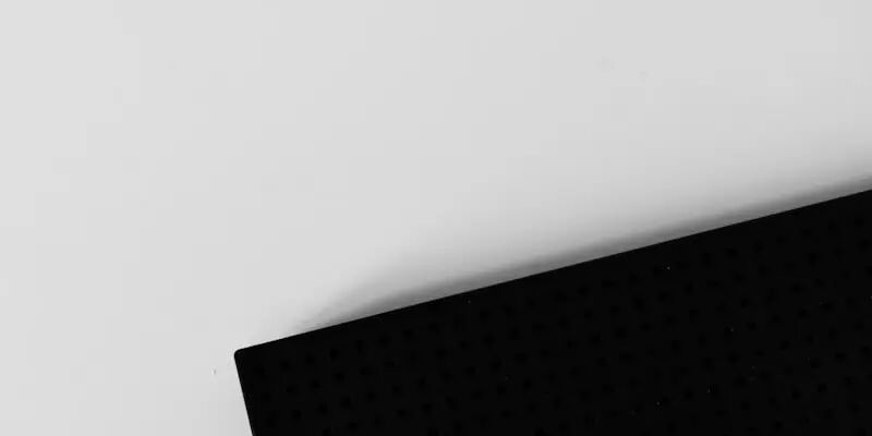 一天一家跨境电商公司：公狼网络