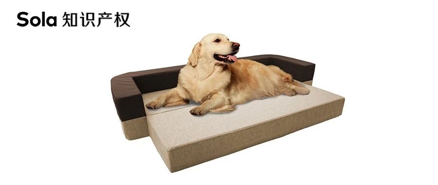 注意！该款宠物用品涉及侵权，请注意规避！