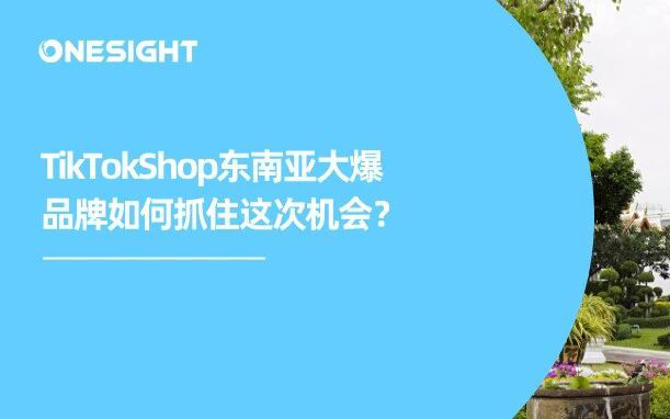 激变东南亚：“铺货”思维走不通了，品牌出海如何匹配市场发展？