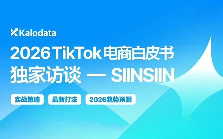 5个月冲进美区 TOP3：SIINSIIN 的爆款方法论与利润重构逻辑首次公开｜白皮书专访