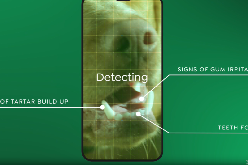 一块狗饼干年卖70亿,这个赛道在欧洲正在爆发 7 一块狗饼干年卖70亿,这个赛道在欧洲正在爆发