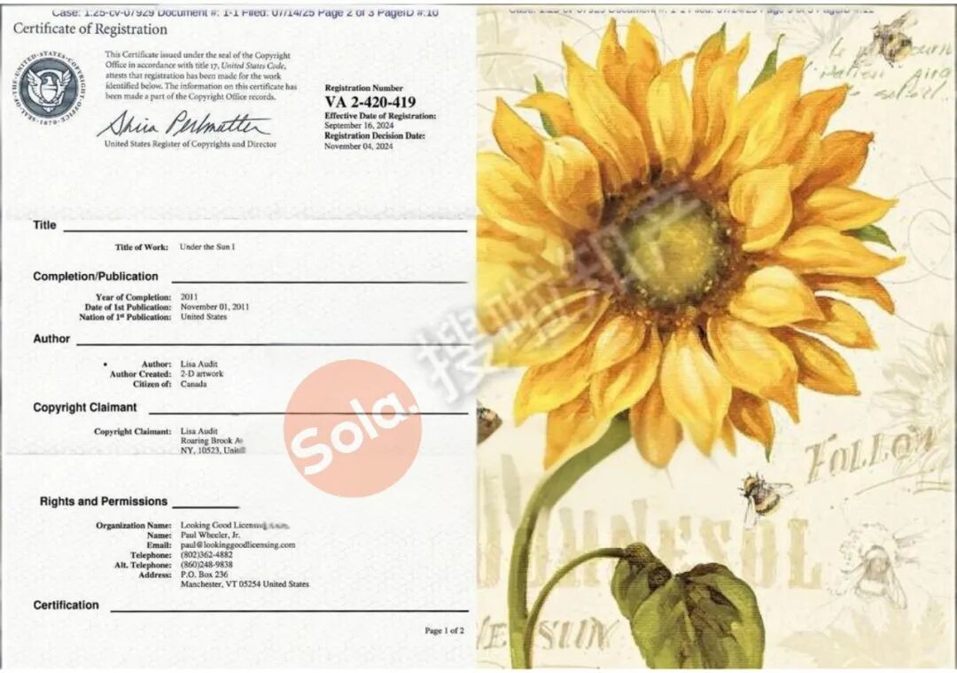 跨境避险=长期盈利 ｜Lisa Audit版权自查清单（2:26-cv-00029）